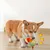 MCBOSON Hunde-Frisbee mit integrierter Glocke MCBOSON Hunde-Frisbee mit integrierter Glocke