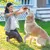 MCBOSON Bâton à mâcher en caoutchouc pour chien