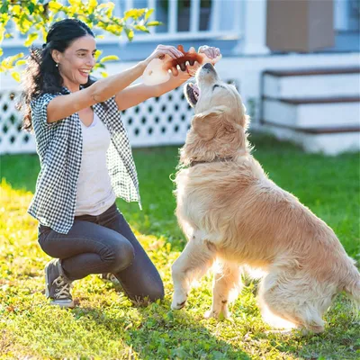 MCBOSON Bâton à mâcher en caoutchouc pour chien