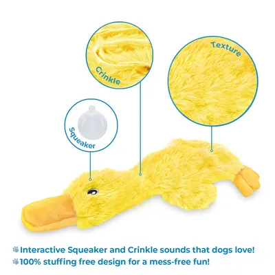 Jouets en peluche pour chiens, canards mignons sans rembourrage