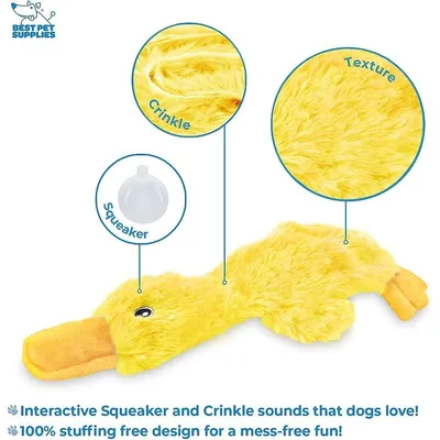 Jouets en peluche pour chiens, canards mignons sans rembourrage Jouets en peluche pour chiens, canards mignons sans rembourrage