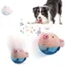 MCBOSON Jouet peluche interactif pour chien