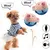 MCBOSON Jouet peluche interactif pour chien