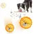 MCBOSON Jouet peluche interactif pour chien