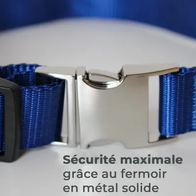 Collier Lumineux pour Chiens - Sécurité, Visibilité Nocturne, Rechargeable