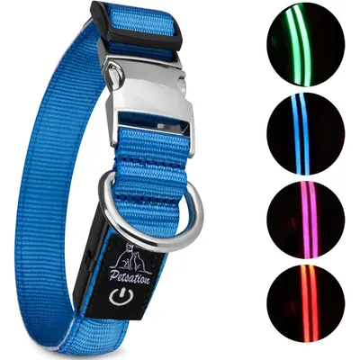 Collier Lumineux pour Chiens - Sécurité, Visibilité Nocturne, Rechargeable
