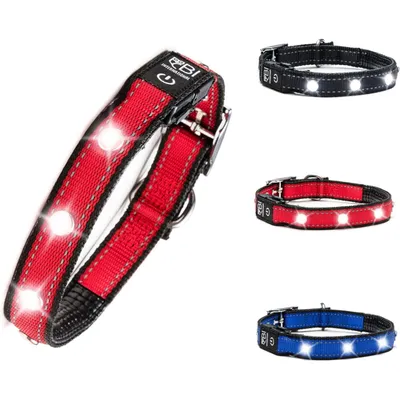 Collier Lumineux pour Chiens - Sécurité, Visibilité Nocturne, Rechargeable