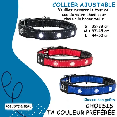 Collier Lumineux pour Chiens - Sécurité, Visibilité Nocturne, Rechargeable
