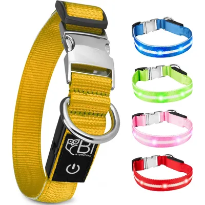 Collier Lumineux pour Chiens - Sécurité, Visibilité Nocturne, Rechargeable Collier Lumineux pour Chiens - Sécurité, Visibilité Nocturne, Rechargeable