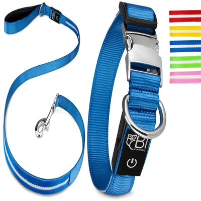 Collier Lumineux pour Chiens - Sécurité, Visibilité Nocturne, Rechargeable