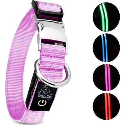 Collier Lumineux pour Chiens - Sécurité, Visibilité Nocturne, Rechargeable Collier Lumineux pour Chiens - Sécurité, Visibilité Nocturne, Rechargeable