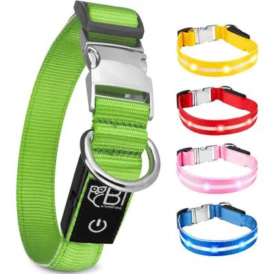 Collier Lumineux pour Chiens - Sécurité, Visibilité Nocturne, Rechargeable