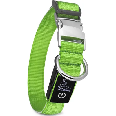Collier Lumineux pour Chiens - Sécurité, Visibilité Nocturne, Rechargeable Collier Lumineux pour Chiens - Sécurité, Visibilité Nocturne, Rechargeable