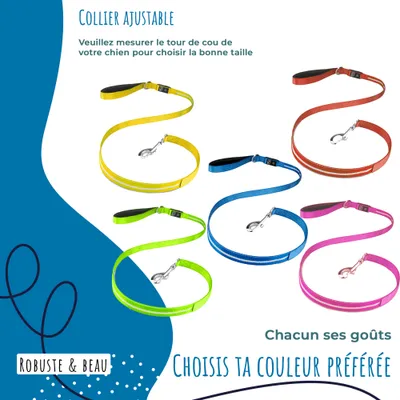 Collier Lumineux pour Chiens - Sécurité, Visibilité Nocturne, Rechargeable