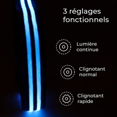 Collier Lumineux pour Chiens - Sécurité, Visibilité Nocturne, Rechargeable
