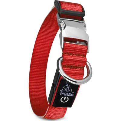 Collier Lumineux pour Chiens - Sécurité, Visibilité Nocturne, Rechargeable Collier Lumineux pour Chiens - Sécurité, Visibilité Nocturne, Rechargeable