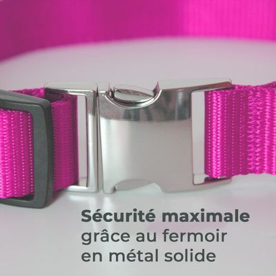 Collier Lumineux pour Chiens - Sécurité, Visibilité Nocturne, Rechargeable