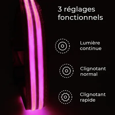 Collier Lumineux pour Chiens - Sécurité, Visibilité Nocturne, Rechargeable