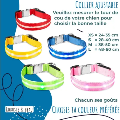 Collier Lumineux pour Chiens - Sécurité, Visibilité Nocturne, Rechargeable