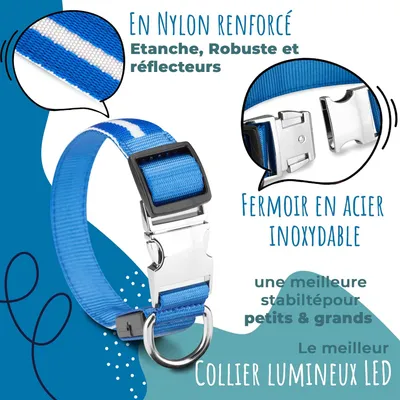 Collier Lumineux pour Chiens - Sécurité, Visibilité Nocturne, Rechargeable
