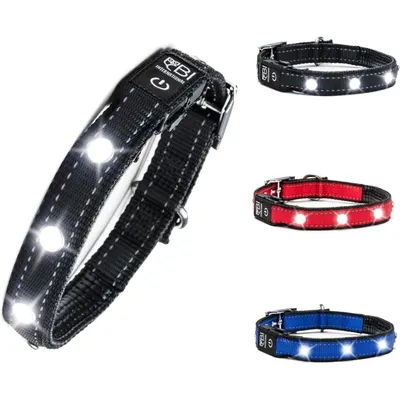 Collier Lumineux pour Chiens - Sécurité, Visibilité Nocturne, Rechargeable