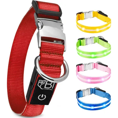 Collier Lumineux pour Chiens - Sécurité, Visibilité Nocturne, Rechargeable
