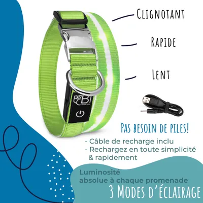 Collier Lumineux pour Chiens - Sécurité, Visibilité Nocturne, Rechargeable