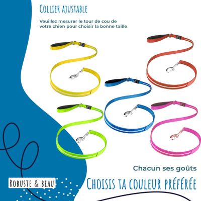 Collier Lumineux pour Chiens - Sécurité, Visibilité Nocturne, Rechargeable