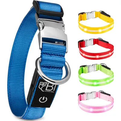 Collier Lumineux pour Chiens - Sécurité, Visibilité Nocturne, Rechargeable