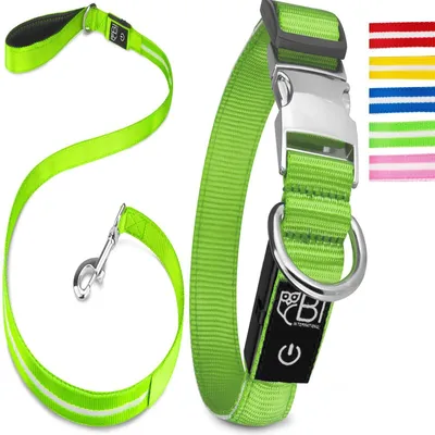 Collier Lumineux pour Chiens - Sécurité, Visibilité Nocturne, Rechargeable