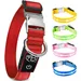 Collier Lumineux pour Chiens - Sécurité, Visibilité Nocturne, Rechargeable