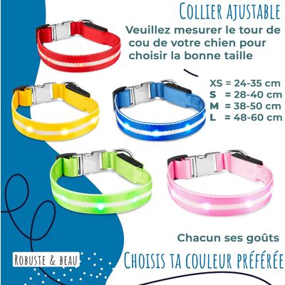 Collier Lumineux pour Chiens - Sécurité, Visibilité Nocturne, Rechargeable
