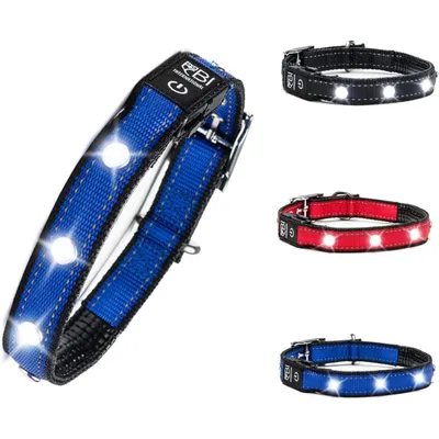 Collier Lumineux pour Chiens - Sécurité, Visibilité Nocturne, Rechargeable