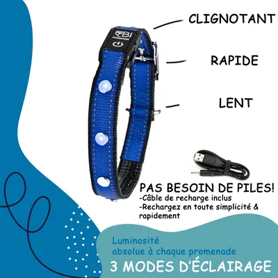 Collier Lumineux pour Chiens - Sécurité, Visibilité Nocturne, Rechargeable