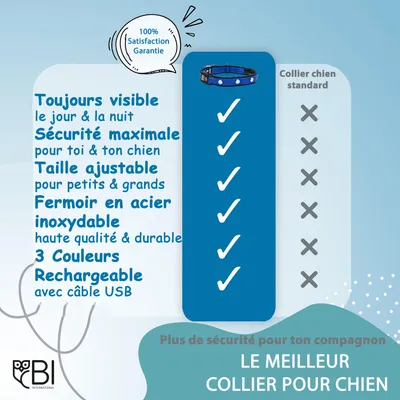 Collier Lumineux pour Chiens - Sécurité, Visibilité Nocturne, Rechargeable