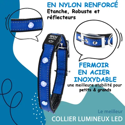 Collier Lumineux pour Chiens - Sécurité, Visibilité Nocturne, Rechargeable