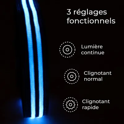 Collier Lumineux pour Chiens - Sécurité, Visibilité Nocturne, Rechargeable