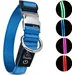 Collier Lumineux pour Chiens - Sécurité, Visibilité Nocturne, Rechargeable