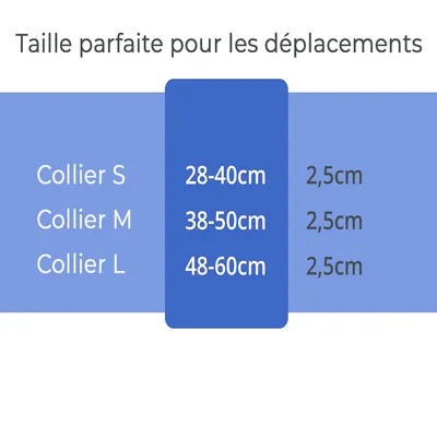 Collier Lumineux pour Chiens - Sécurité, Visibilité Nocturne, Rechargeable