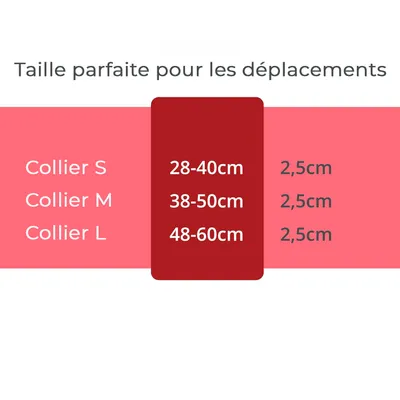 Collier Lumineux pour Chiens - Sécurité, Visibilité Nocturne, Rechargeable