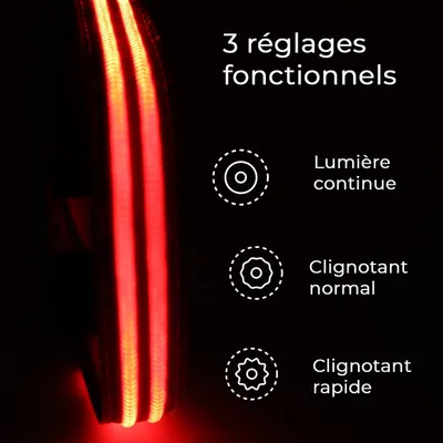 Collier Lumineux pour Chiens - Sécurité, Visibilité Nocturne, Rechargeable