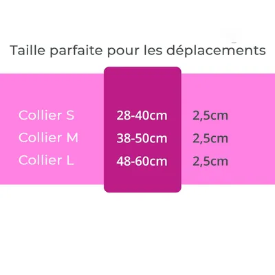 Collier Lumineux pour Chiens - Sécurité, Visibilité Nocturne, Rechargeable