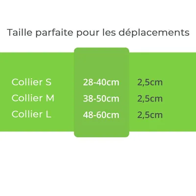 Collier Lumineux pour Chiens - Sécurité, Visibilité Nocturne, Rechargeable