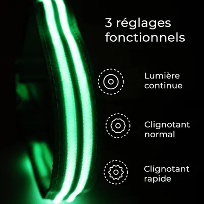 Collier Lumineux pour Chiens - Sécurité, Visibilité Nocturne, Rechargeable