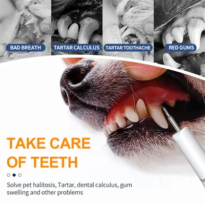 MCBOSON Ensemble de brosses à dents à ultrasons pour chien ou chat