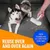 MCBOSON Brosse anti-poils pour chats et chiens MCBOSON Brosse anti-poils pour chats et chiens