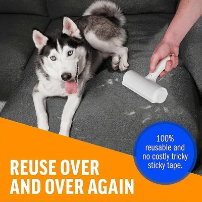 MCBOSON Brosse anti-poils pour chats et chiens