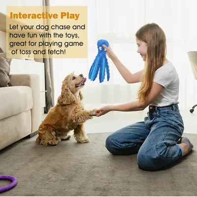 Jouets pour chiens en peluche pour la dentition de chiot Jouets pour chiens en peluche pour la dentition de chiot