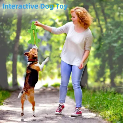 Quietschendes Krokodil-Hundespielzeug, robustes Kauspielzeug