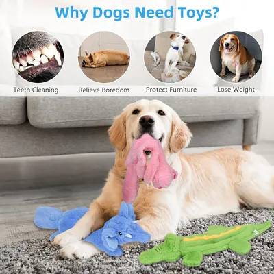 Jouet pour chien Crocodile Squeaker Jouets à mâcher durables pour chien